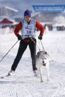 Lenk 2013